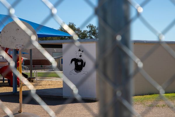 New fencing at White